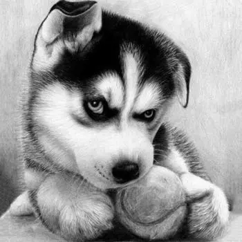 Алмазная картина, вышивка крестом, смола, животное, собака с бейсболом, Алмазная мозаика, Алмазная вышивка 30x30CM