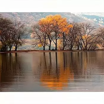 Алмазная картина, вышивка, распродажа, Мозаика с деревом, 5D Алмазный пейзаж, полный круглый DIY аксессуары для украшения дома 30x40 см/12x16 дюймов 30x40cm NO Frame