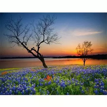 Алмазная картина закат дерево вышивка крестом пейзаж полная круглая мозаика декор для дома 30x40 см/12x16 дюймов 30x40cm NO Frame