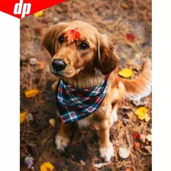 Алмазная картина животное 5D DIY полная круглая собака горный хрусталь мозаика Алмазная вышивка 20X30CM