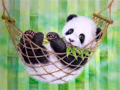 Алмазная картина Животное Алмазная картина 5D Набор для вышивки крестом Алмазная вышивка Картина 15*20cm