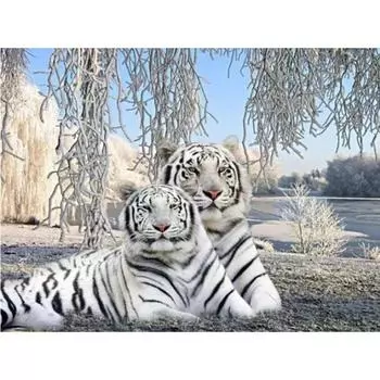 Алмазная картина животное Белый тигр 5d Diy мозаика полная круглая дрель стразами алмазная вышивка картины Full Round 20x25CM