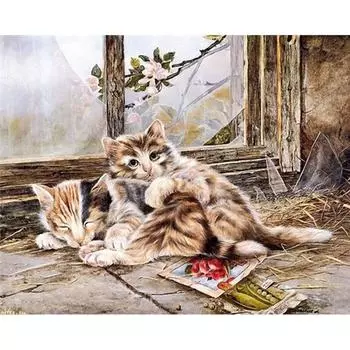 Алмазная картина животное кошка полная круглая алмазная вышивка продажа алмазная художественная мозаика 20X30CM