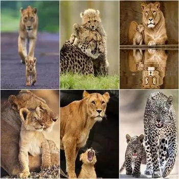 Алмазная картина животное Лев полная круглая дрель Кристалл Алмазная мозаика 5D DIY Вышивка горный хрусталь Декор для дома Full Round 20x30CM