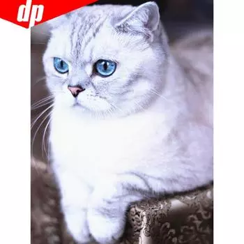 Алмазная картина Животные Картина Бисероплетение Кошка Алмазная вышивка Природа Хобби и рукоделие 20X30