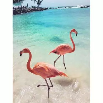 Алмазная картина животных Фламинго Алмазная мозаика Приморская вышивка бисером Наборы настенного декора Художественный подарок 30x40 см 30x40cm NO Frame