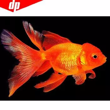 Алмазная мозаика 5D DIY Алмазная картина Животное Алмазная вышивка Золотая рыбка Вышивка крестом 20X30CM