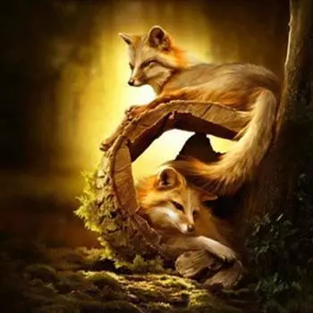 Алмазная мозаика, алмазная живопись, алмазная вышивка, вышивка крестиком, животные, лесные лисы, картина из страз, ручная работа 20X30CM