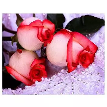 Алмазная мозаика Huacan, цветы, стразы, фотографии, сделай сам, алмазная вышивка, цветы, вышивка бисером 20*30 cm