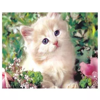 Алмазная мозаика, картина с изображением мышки, стразами, алмазная живопись, вышивка крестиком, Алмазная вышивка, цветочный ручной работы 20X30CM