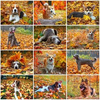 Алмазная мозаика собака комплект 5D DIY животное алмазная живопись осень вышивка стразами картина домашний декор Full Round 20x25CM