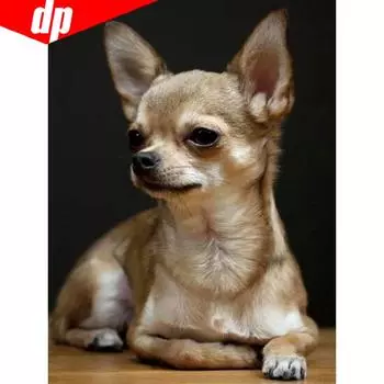 Алмазная мозаика Собаки Алмазная картина Полный круглый приезд Животные Алмазная вышивка 20X30