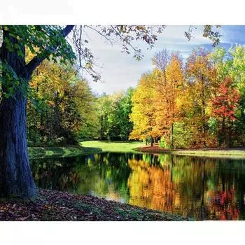 Алмазная мозаика Живописная Алмазная картина Полная площадь DIY Алмазная вышивка Крестом Дерево 20*30 cm