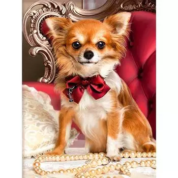 Алмазная мозаика животное собака 5d Алмазная картина вышивка крестиком домашний декор 20X30CM