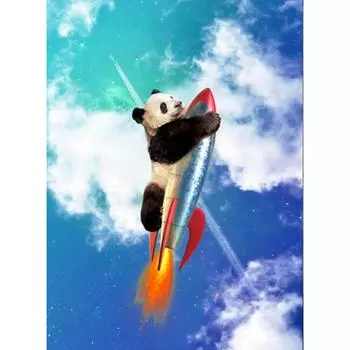 Алмазная мозаика животные Панда Ракета Полный круглый алмаз картина картина 20X30CM