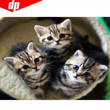 Алмазная мозаика животных 5D DIY Алмазная картина Вышивка Кошка Стразы 20X30CM