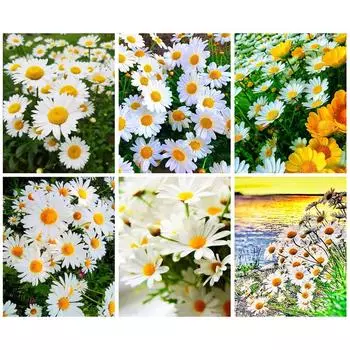 Алмазная вышивка 5D Дейзи Алмазная картина Цветочная картина Мозаичная вышивка Картинки Произведение искусства Full Round 20x30CM