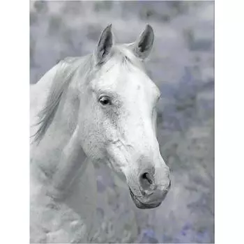 Алмазная вышивка Белая лошадь Узор Алмазная картина Вышивка крестиком Алмазная мозаика 20X30CM
