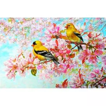 Алмазная вышивка Цветочные птицы Рукоделие Алмазная мозаика Наборы для вышивки крестом для вышивки 20X30CM