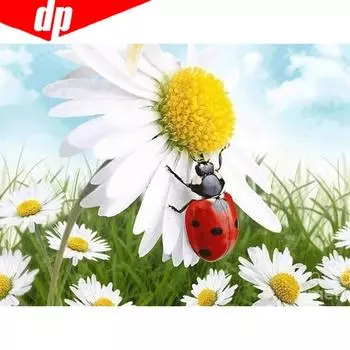 Алмазная вышивка цветок алмазная живопись DaisyDiamond мозаика полный дисплей горный хрусталь изображение 20X30CM