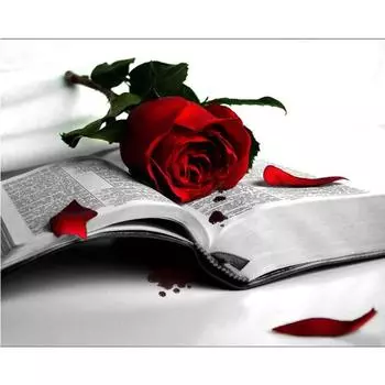 Алмазная вышивка Девушка Портрет 5D Алмазная картина Алмазная мозаика Домашний декор 20X30CM