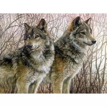 Алмазная вышивка два волка 5d волк алмазная живопись своими руками 20X30CM