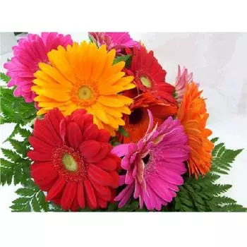 Алмазная вышивка фрукты красное вино домашний подарок DIY Decoratif ремесло алмазная живопись мозаичный узор 20X30CM