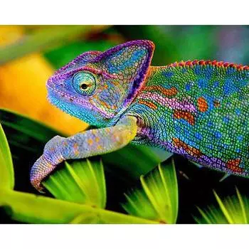 Алмазная вышивка Хамелеон 5D Алмазная картина Вышивка крестом Алмазная мозаика игла ремесло 20X30CM