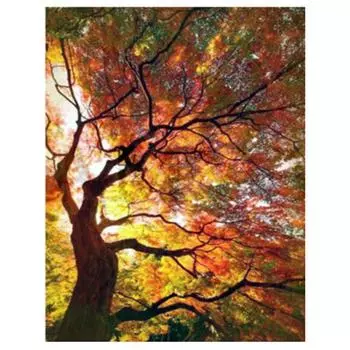 Алмазная вышивка Картина Полный дрель Алмазная мозаика Вышивка крестом Дерево Пейзаж 20X30CM