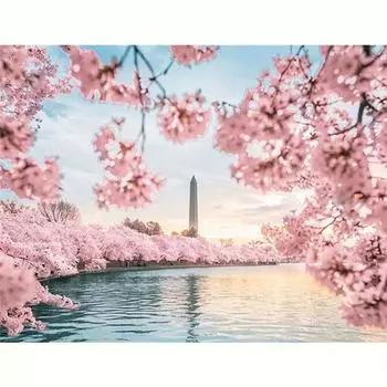 Алмазная вышивка картина Сакура полная круглая мозаика цветок горный хрусталь комплект вышивка крестиком украшение дома 30x40 см/12x16 дюймов 30x40cm NO Frame