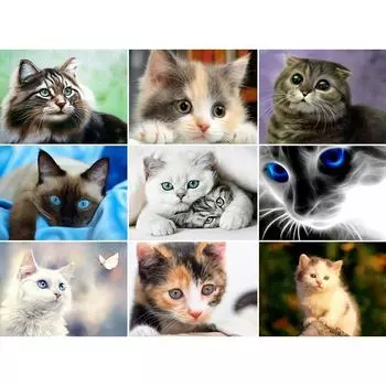 Алмазная вышивка кошки алмазная живопись полный круглый животные стразы картины вышивка бисером Алмазная мозаика Настенный декор Full Round 30*40 cm