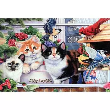 Алмазная вышивка Кошки и птицы DIY Алмазная картина Круглая дрель Алмазная вышивка 20X30CM