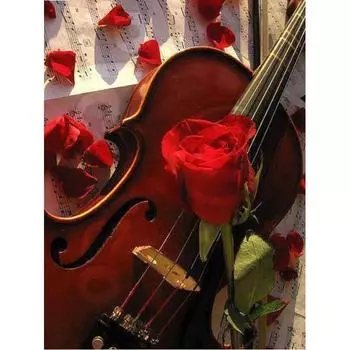 Алмазная вышивка крестом красная роза скрипка полная круглая алмазная мозаика алмазная живопись 20X30CM