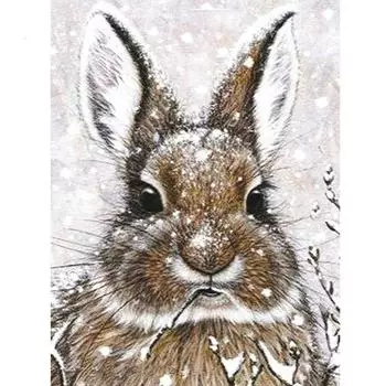 Алмазная вышивка кролик ремесленный комплект 5D DIY алмазная живопись снег животное горный хрусталь картина домашний декор подарок Full Round 20X30CM