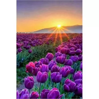 Алмазная вышивка Лаванда 5D DIY Алмазная картина Алмазная мозаика Картинки Домашний декор 20X30CM