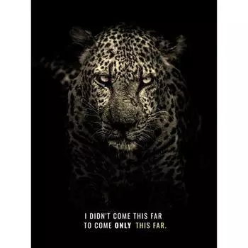 Алмазная вышивка Лев 5D DIY Черно-белая алмазная живопись Животное Алмазная мозаика Полный макет Украшение стены Full Round 20x25CM