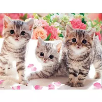 Алмазная вышивка милый кот и цветок ошеломленная маленькая киска алмазная живопись вышивка крестом горный хрусталь 20X30CM