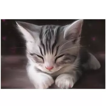 Алмазная вышивка Милый кот Полный круглый дрель Спящий кот Алмазная картина Вышивка крестом 20X30CM