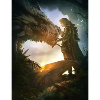 Алмазная вышивка Мозаика Птицы Полный круглый дрель 5D DIY Алмазная картина Набор Декор для дома 20X30CM