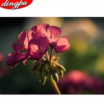 Алмазная вышивка Пейзаж Diy Алмазная картина Закат Diy Полная круглая мозаика со стразами Картина Домашний декор 20X30CM