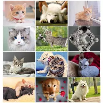 Алмазная вышивка Полный дисплей Алмазная мозаика Продажа Животные Вышивка крестиком Алмазная картина Домашний декор 20X30CM красный