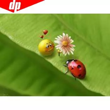 Алмазная вышивка Полный дисплей Божья коровка 5D Вышивка крестом Мозаика Алмазная картина 20X30CM