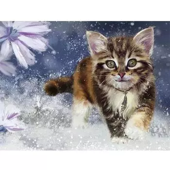 Алмазная вышивка Полный дисплей Животное Алмазная картина Кошка Изображение 20X30CM