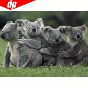 Алмазная вышивка Полный дисплей Животное Коала Алмазная мозаика Алмазная картина Полный круглый вышивки крестом 20X30CM