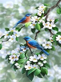 Алмазная вышивка Птица Алмазная картина Полная рукоделие Алмазная картина Полная дрель 15*20cm