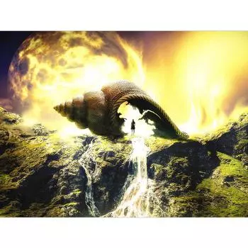 Алмазная вышивка Раковина Мультяшная Алмазная роспись ручной работы Рукоделие Мозаика Вышивка крестом Домашний декор 20X30CM