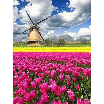 Алмазная вышивка Распродажа Цветок Полные квадратные/круглые сверла Алмазная мозаика Пейзаж 20X30CM