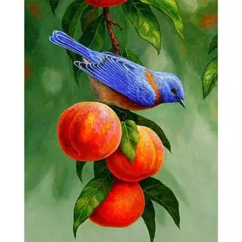 Алмазная вышивка Симпатичная птица 5D DIY Алмазная картина Алмазная мозаика Картинки Домашний декор 20X30CM