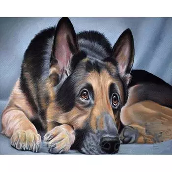 Алмазная вышивка Собака 5D Алмазная картина Вышивка крестом Алмазная мозаика Игла Ремесло 20X30CM