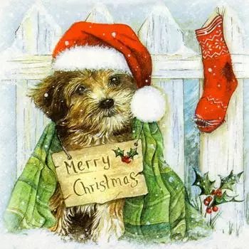 Алмазная вышивка Собака 5D DIY Полный дрель Алмазная картина Животные Вышивка крестом Рождественский домашний декор Подарок Full Round 30x30CM